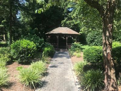Albertson Park